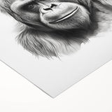 Colorful rolled canvas artwork showcasing a vibrant monkey and ape gorilla design, perfect for adding a playful touch to home decor, packaged securely for delivery.