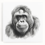Vibrant wall art collection featuring a striking design of a monkey and an ape gorilla on stretched canvas, perfect for animal lovers and modern decor enthusiasts. This colorful artwork adds a playful touch to any interior setting.