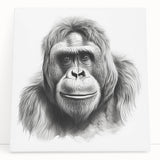 Stretched canvas wall art featuring a colorful monkey and ape gorilla design, showcasing vibrant hues and playful imagery, ideal for adding personality to any space.