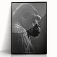 Framed wall art featuring a striking design of a monkey and ape gorilla, showcasing intricate details and a sleek black acrylic frame, perfect for modern decor.
