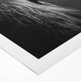 Vibrant rolled canvas showcasing a striking monkey and ape gorilla design, ideal for animal-themed decor, featuring rich colors and intricate details, presented in a durable packaging tube.