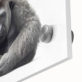 Close-up view of a vibrant wall art collection featuring a monkey and ape gorilla design, printed on acrylic glass, showcasing intricate details and vivid colors against a sleek background.