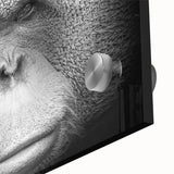 Close-up of vibrant orangutan wall art design on acrylic glass, showcasing intricate details and vivid colors in a modern artistic style, perfect for home decor.