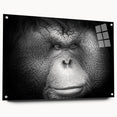 Side view of a vibrant orangutan and monkey wall art piece, crafted from acrylic glass, showcasing intricate design details and attached with stylish pins for easy display.