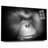 Acrylic wall art featuring an artistic design of a monkey and an orangutan, displayed in a modern glass frame, showcasing vibrant colors and intricate details. Perfect for wildlife enthusiasts and contemporary decor.