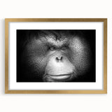 Framed wall art featuring a vibrant orangutan design with a gold mat, showcasing intricate details and textures, perfect for animal-themed decor.