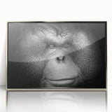 Framed wall art featuring a captivating orangutan design in vibrant colors, showcasing intricate details and a sleek silver frame, perfect for nature lovers.
