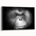 Framed canvas wall art featuring a vibrant orangutan design, showcasing detailed textures and colors, displayed from a black side view for a striking effect.