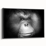 Framed canvas wall art featuring a vibrant orangutan design, showcasing detailed textures and colors, displayed from a black side view for a striking effect.