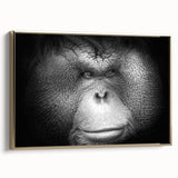 Framed wall art showcasing a vibrant orangutan design, featuring rich colors and intricate details, set against a gold frame for an elegant finish. Perfect for wildlife enthusiasts and home decor.