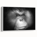 Framed wall art featuring a vibrant orangutan design set against a white background, showcasing intricate details and textures, perfect for wildlife enthusiasts.