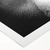 Vibrant rolled canvas wall art featuring a detailed orangutan and monkey design, showcasing rich colors and intricate patterns, perfect for animal lovers and modern decor.