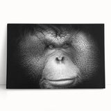 Colorful stretched canvas wall art featuring a playful orangutan design, showcasing vibrant hues and intricate details, perfect for adding a whimsical touch to any room. Ideal for animal lovers and nature enthusiasts looking to enhance their decor.