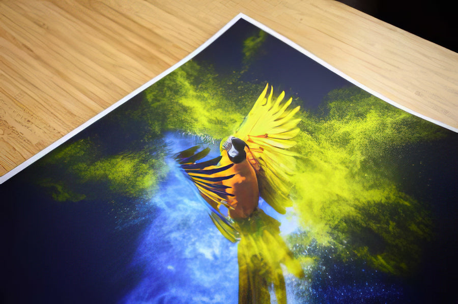 Fine art matte paper print laid flat