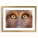 Abstract art print of birds in textured gold colors on a large canvas, ideal for living room decor.