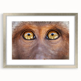 Textured art print of an abstract bird design in muted earth tones, framed with a silver mat, suitable for bedroom art.