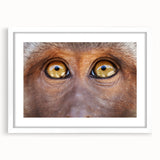 Abstract art print of a bird in muted blues and greens, framed in white, suitable for bedroom or dining room decor.