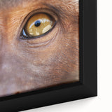 Close-up image of a bird in flight on textured, black canvas, highlighted with colorful accents.