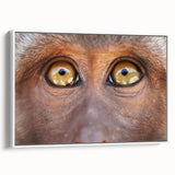 Framed canvas vintage poster art featuring a colorful bird design on a black background, ideal for living room decor.