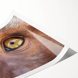 Extra large wall art featuring line art flowers in black on a white background, suitable for large living room decor.