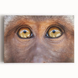 Black and white photo of a bird on stretched canvas, ideal for kitchen wall art.