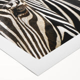 Art deco poster of a vibrant bird in flight on a rolled canvas, suitable for dining room wall art.