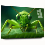 Large abstract wall art featuring a close-up of a bird in vibrant blues and greens on acrylic glass.