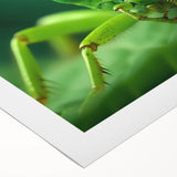 Art deco poster of a stylized peacock in vibrant blues and greens on rolled canvas, suitable for dining room decor.