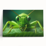 Black and white close-up photograph of a bird on stretched canvas, ideal for kitchen wall art or bedroom ambiance.