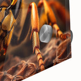 Close-up of a bird in muted earth tones on acrylic glass, ideal for dining room art in a mid-century modernist style.