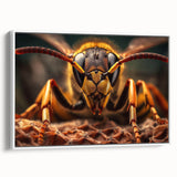 Vintage poster art of colorful birds on a black background, printed on extra large framed canvas.