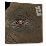 Acrylic print of a large abstract bird design in vibrant hues, ideal for bedroom or dining room art.