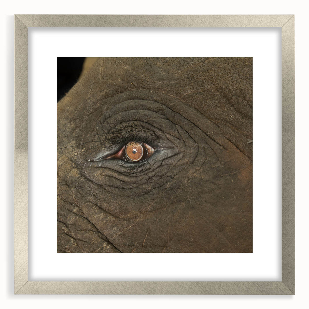Textured art print of abstract birds in soft gray and white tones on a silver-framed mat, ideal for bedroom wall decor.