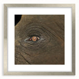 Textured art print of abstract birds in soft gray and white tones on a silver-framed mat, ideal for bedroom wall decor.