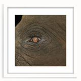 Abstract art print of birds in soft pastel shades on a white framed canvas, suitable for bedroom or dining room decor.