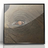 Large abstract wall art featuring a bird in mid-century modernist style, with muted earth tones on framed acrylic.