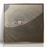 Acrylic print of birds in flight against a gold backdrop, in mid-century modernist style, suitable as nursery wall art.