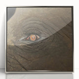 Framed acrylic painting featuring a close-up view of a bird, executed in silver and gray tones, ideal for nursery wall art.