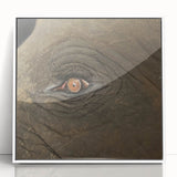 Art Deco poster featuring a close-up of a bird, with vibrant blue and green tones on white acrylic.