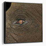 Black and white wall art featuring a close-up of a bird, printed on framed canvas, suitable for bedroom decor.