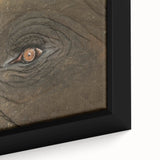 Close-up of a colorful bird on black textured canvas, ideal for extra large living room wall art.