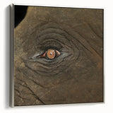 Framed canvas of a vintage-style landscape painting featuring colorful birds in a black background.