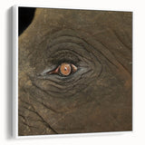 Vintage poster art of colorful birds on a black background, framed canvas, ideal for living room decor.