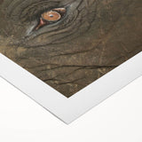 Art deco poster of a stylized bird in muted gold and teal tones on rolled canvas.