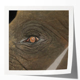 Close-up image of a bird perched on a branch, in muted earth tones on rolled canvas, suitable for dining room wall art.