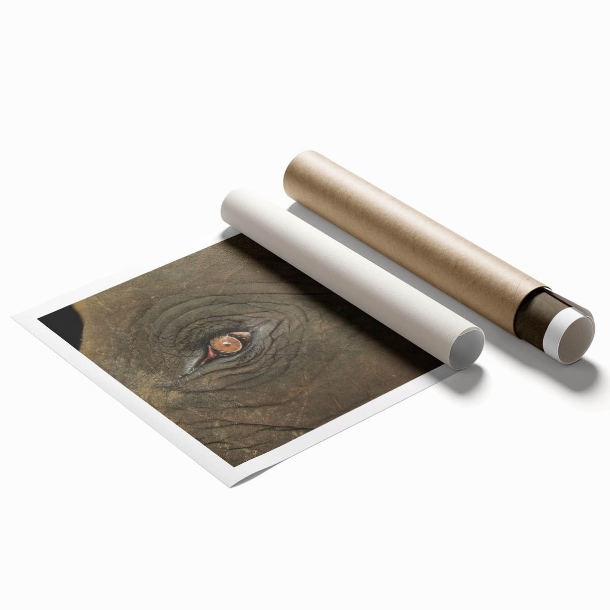 Extra large rolled print of a close-up floral design in vibrant colors, ideal for classy bathroom wall art.
