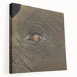 Close-up image of a bird on a stretched canvas, featuring soft earth tones, ideal for kitchen wall art.