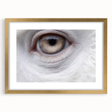 Extra large abstract art print featuring a textured depiction of birds, in a gold frame with mat.