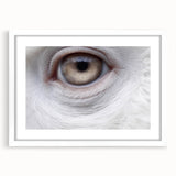 Abstract art print of birds in flight, depicted in soft blue and gray tones on a white framed canvas.