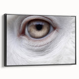 Black and white wall art featuring a close-up of a bird, rendered on framed canvas, ideal for bedroom or living room decor.